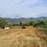  Land for sale in Thailand, Nong Luang, Sawang Arom, Uthai Thani, Thailand