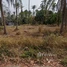  Land for sale in Thailand, Nong Ri, Mueang Chon Buri, Chon Buri, Thailand