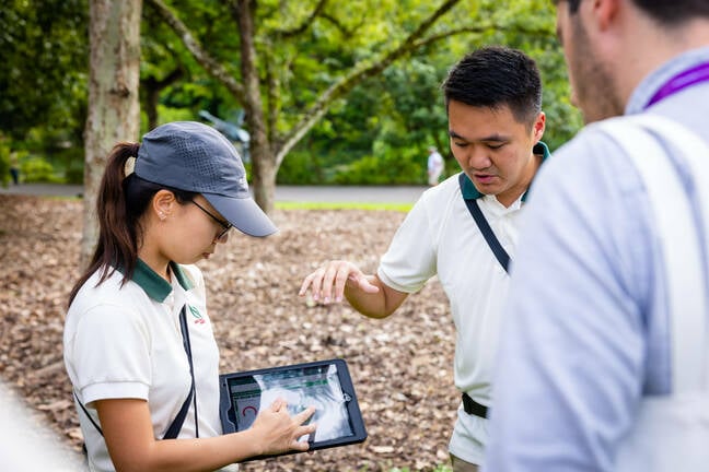 SIngapore_tree_management_system